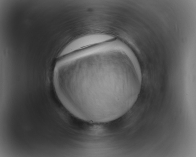 X0000088490114200706191431
