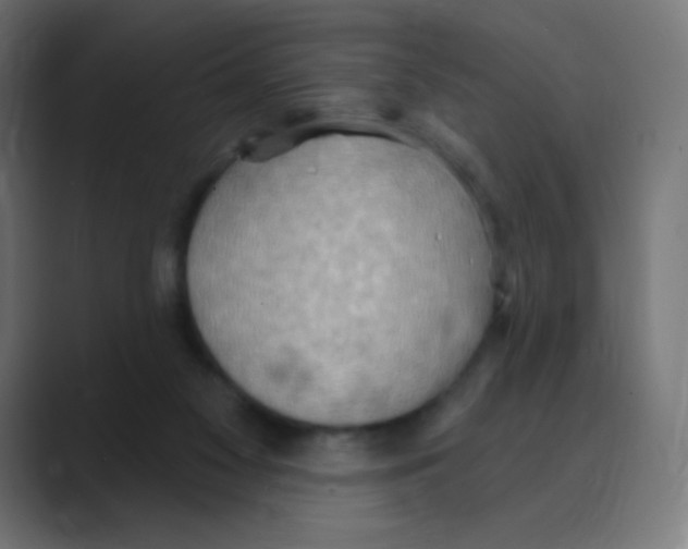 X0000088490117200706191431