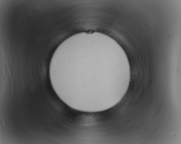X0000088490120200706191431