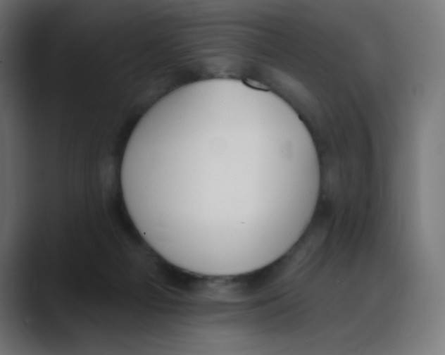 X0000088490121200706191431