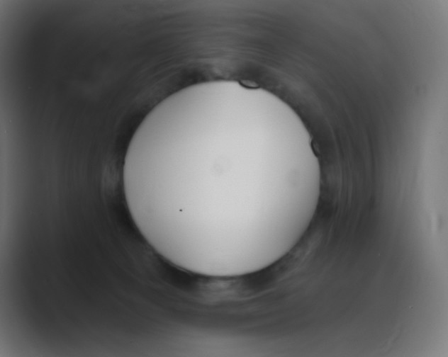 X0000088490129200706191431