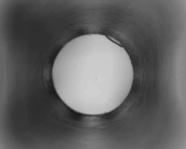 X0000088490133200706191431