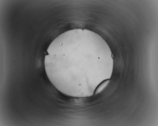 X0000088490134200706191431