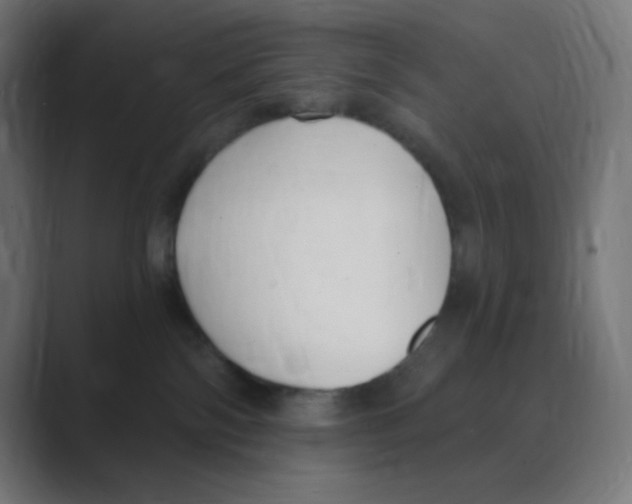 X0000088490138200706191431