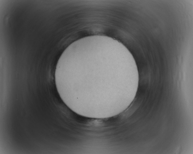 X0000088490140200706191431