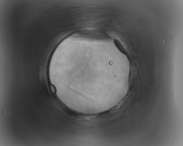X0000088490147200706191430