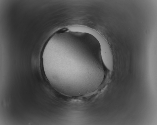 X0000088490148200706191430