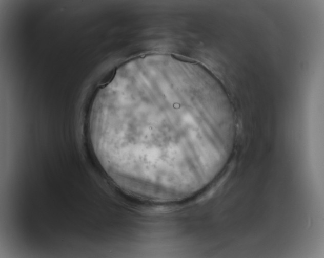 X0000088490149200706191430