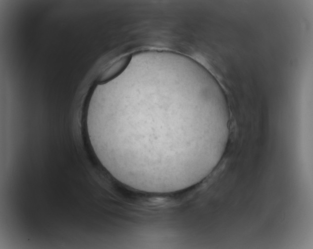 X0000088490151200706191430
