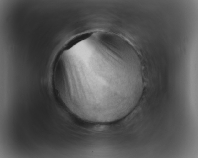 X0000088490152200706191431