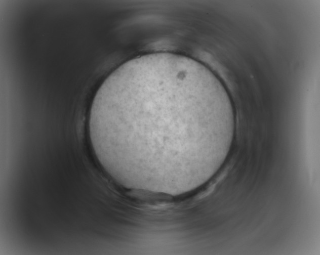 X0000088490153200706191431