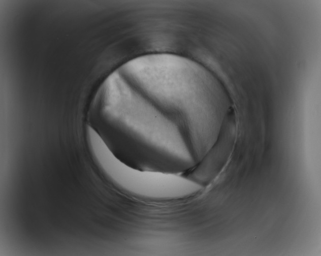 X0000088490154200706191431
