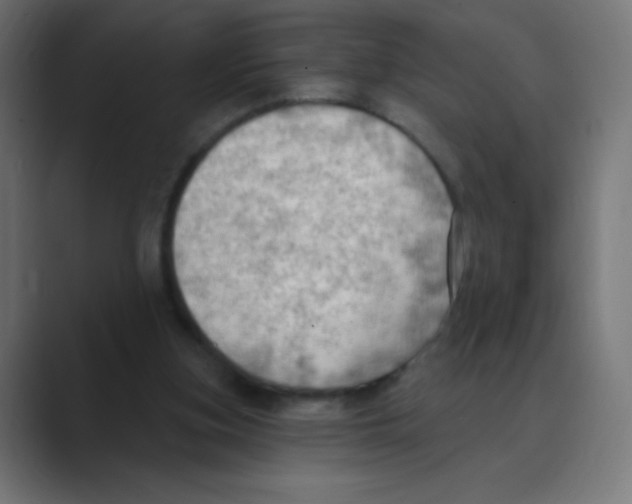 X0000088490155200706191431