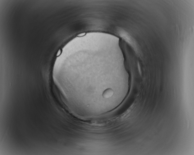 X0000088490156200706191431