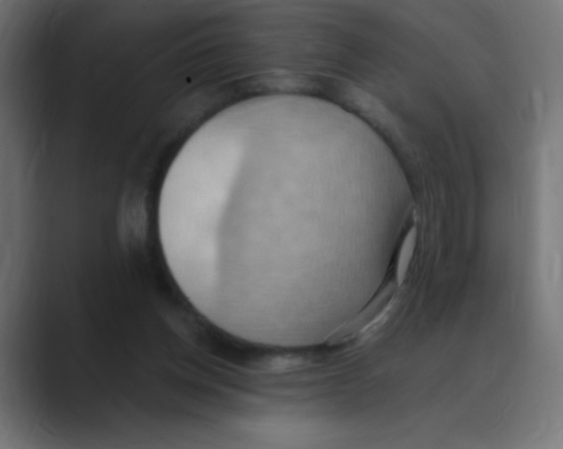 X0000088490158200706191431