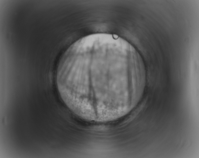X0000088490161200706191431