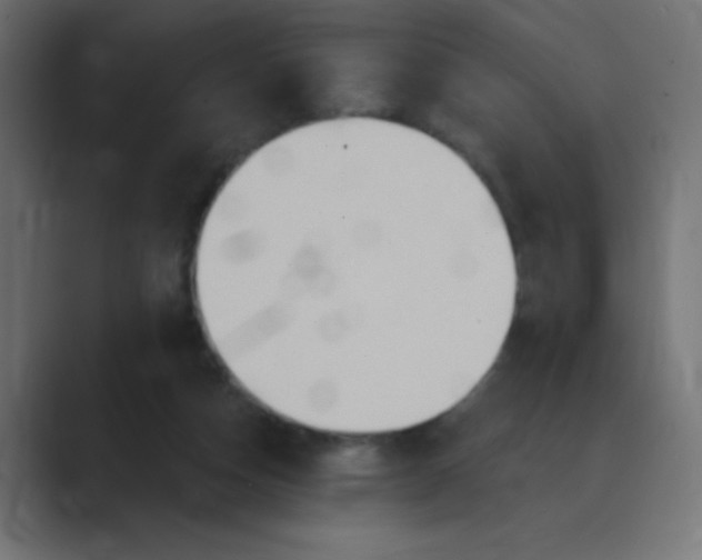 X0000088490162200706191431