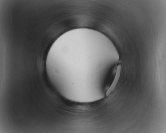 X0000088490164200706191431