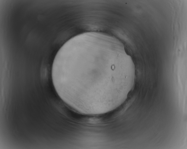 X0000088490165200706191431