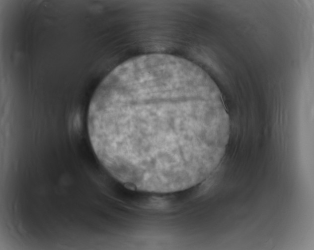 X0000088490166200706191431