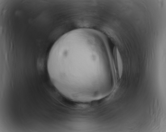 X0000088490167200706191431