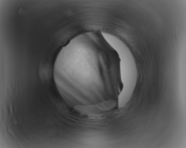 X0000088490168200706191431