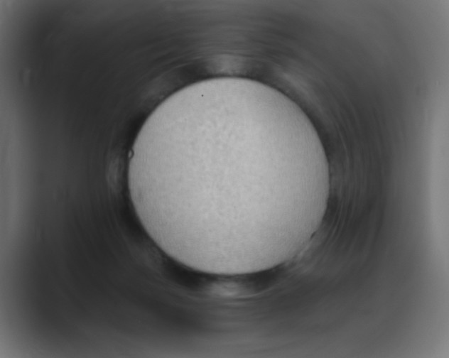X0000088490171200706191431