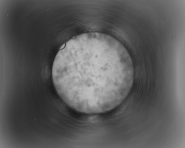 X0000088490173200706191431