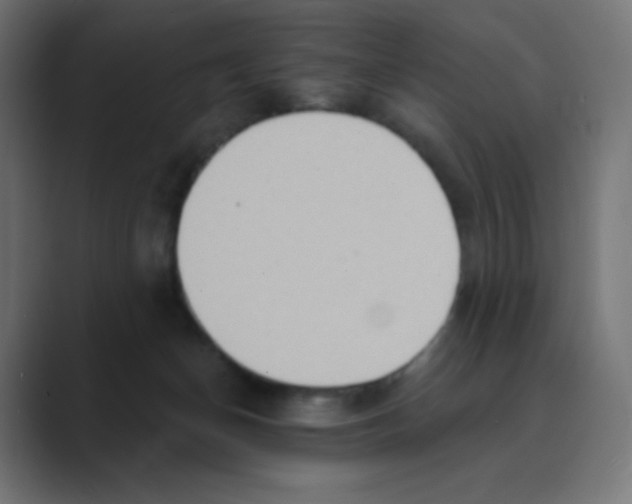 X0000088490174200706191431