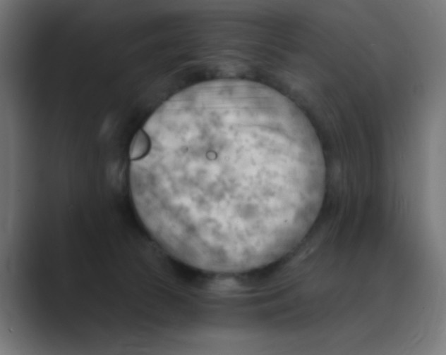 X0000088490177200706191431