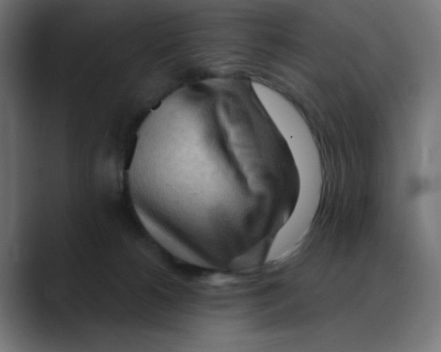 X0000088490180200706191431
