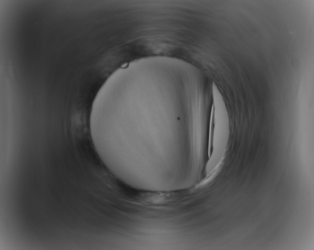 X0000088490182200706191431