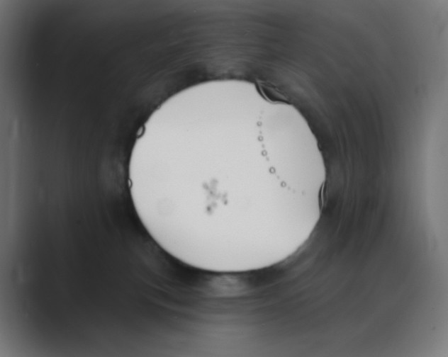 X0000088490183200706191431