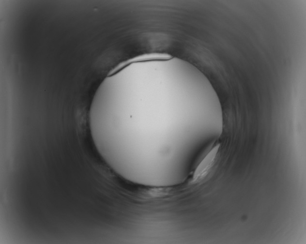 X0000088490184200706191431