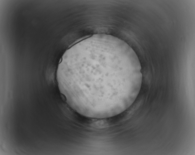 X0000088490185200706191431