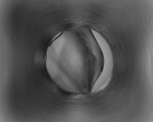 X0000088490186200706191431