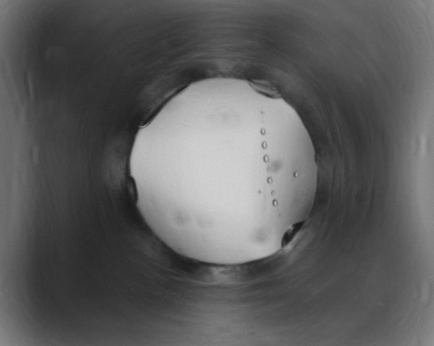 X0000088490188200706191431