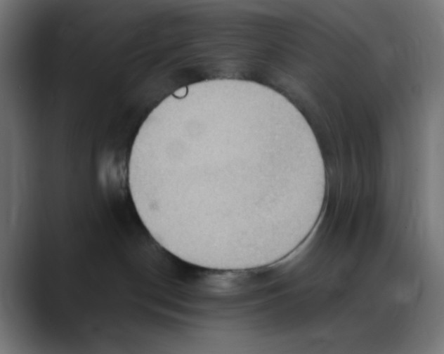 X0000088490190200706191431