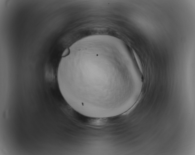 X0000088490191200706191431