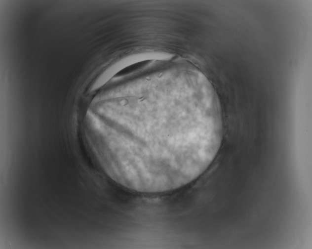 X0000088490194200706191430