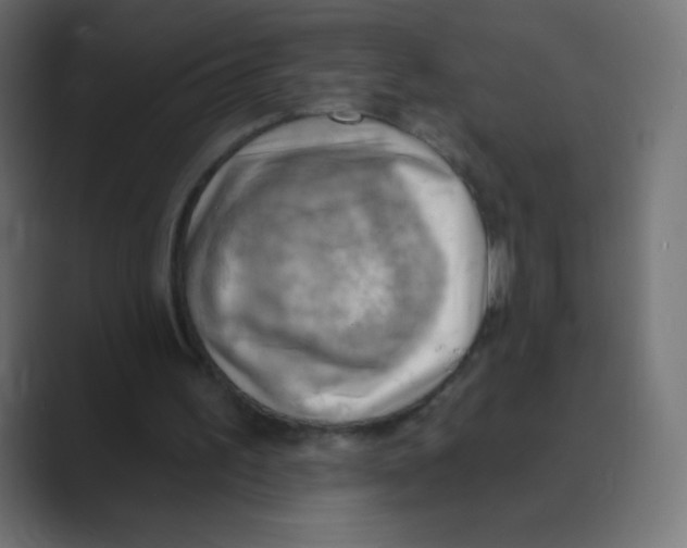 X0000088490195200706191430