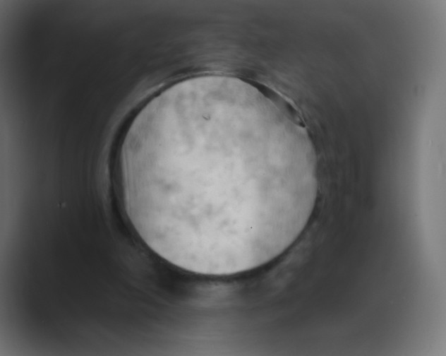 X0000088490198200706191430