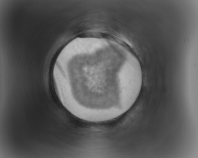 X0000088490199200706191430