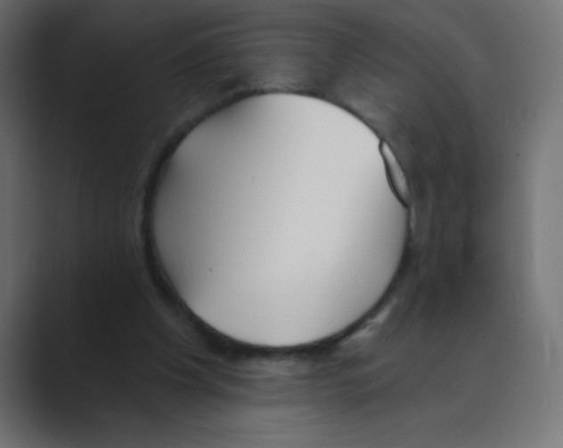 X0000088490201200706191430