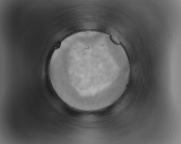 X0000088490203200706191430