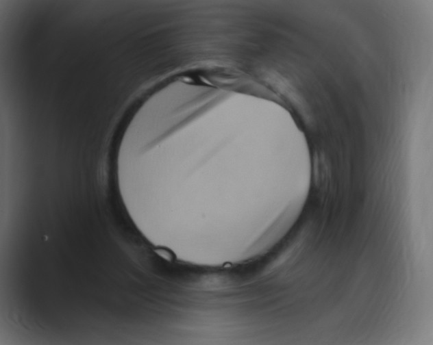 X0000088490204200706191430
