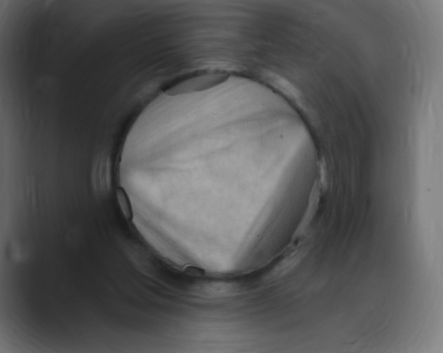X0000088490205200706191430