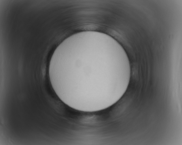 X0000088490206200706191430