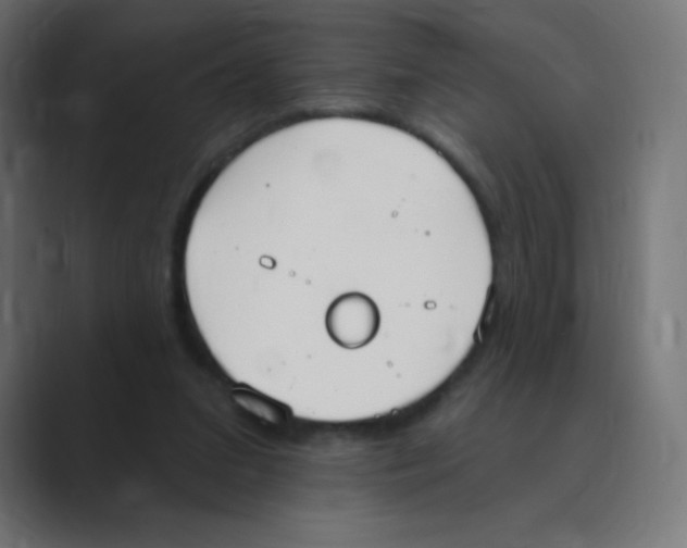 X0000088490207200706191430