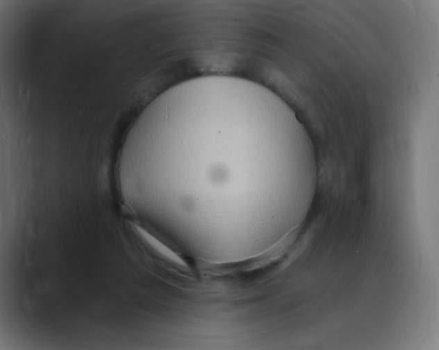 X0000088490209200706191430